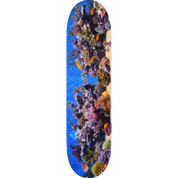 ML Fish Tank Skateboard Deck