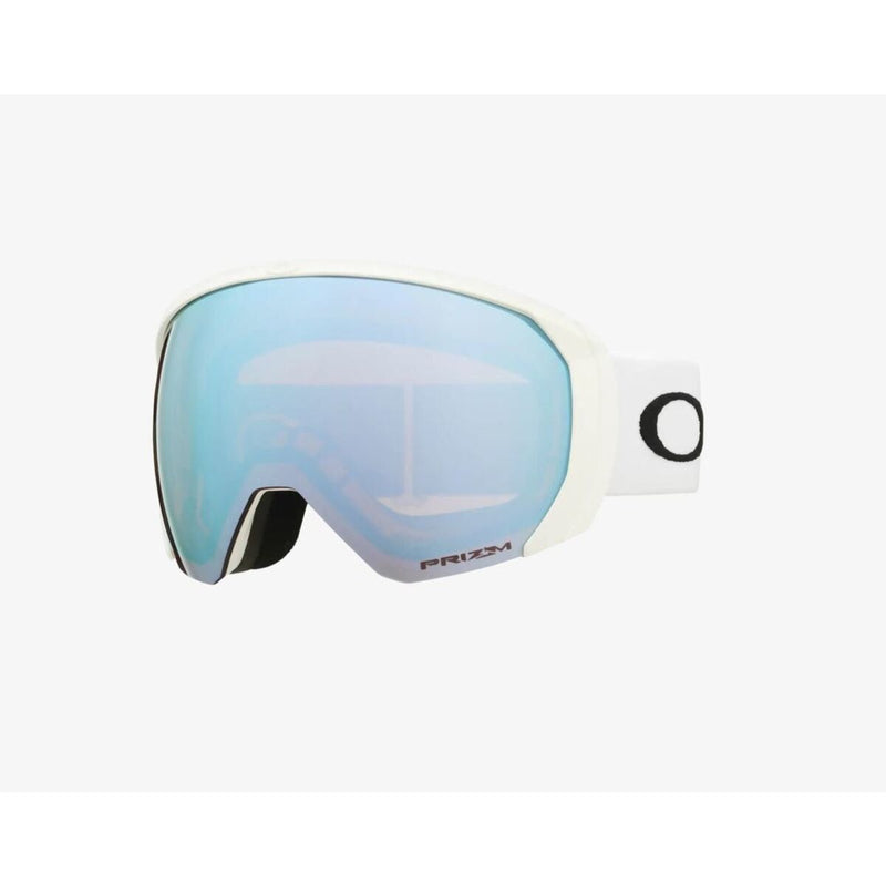 Flight Path L Snow Goggles